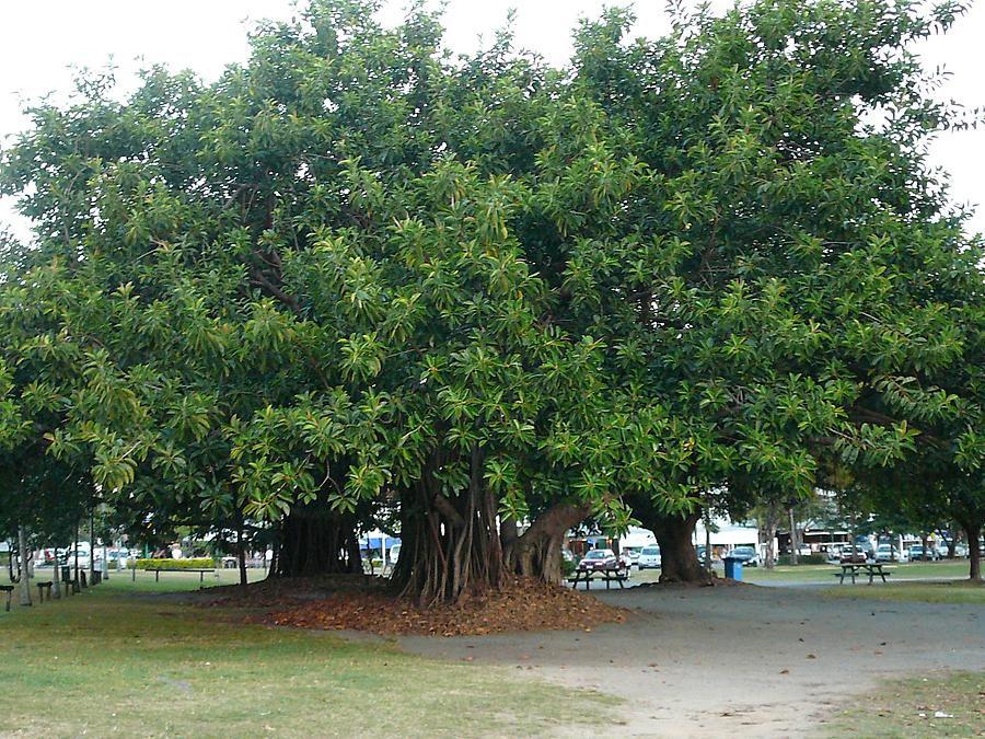 Port Douglas