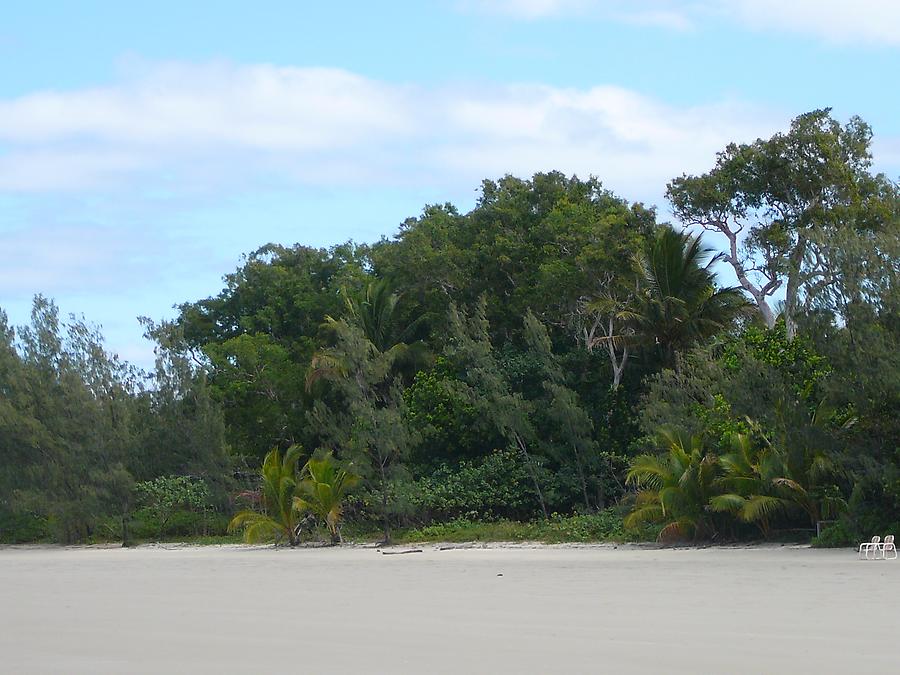 Beach, Daintree park