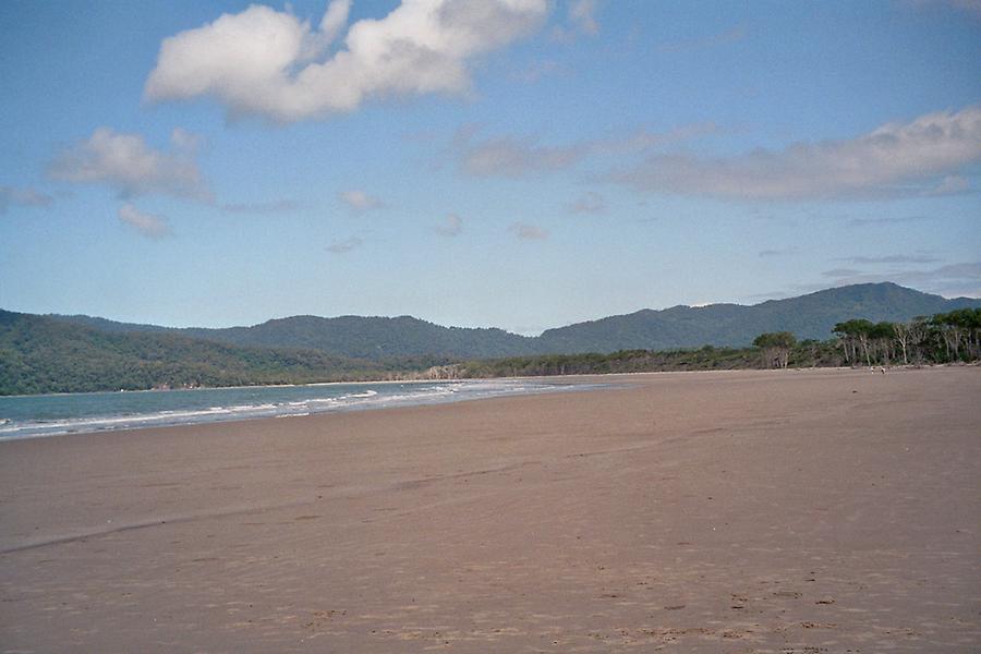 Beach, Daintree park