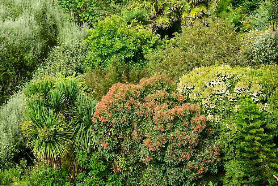 Garden Roscoff