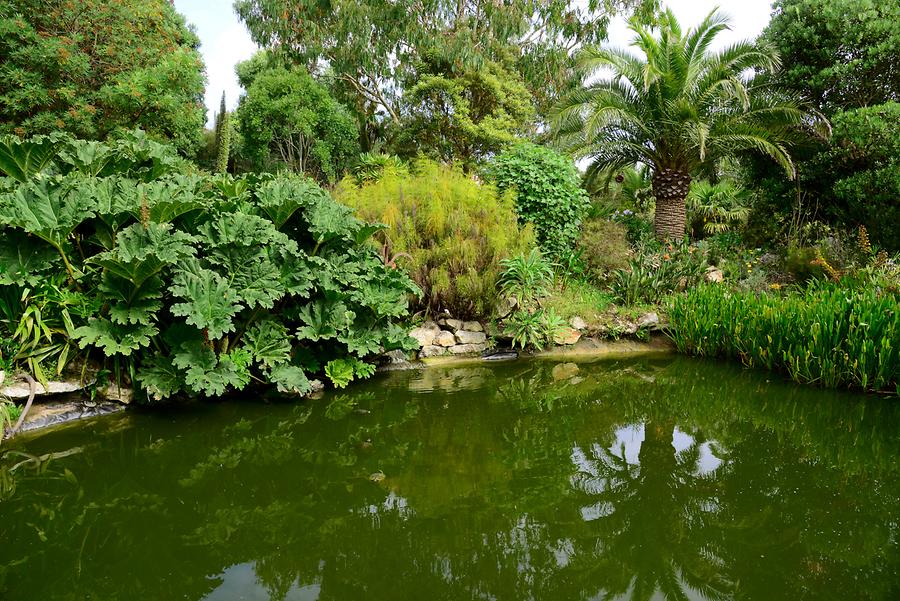 Garden Roscoff