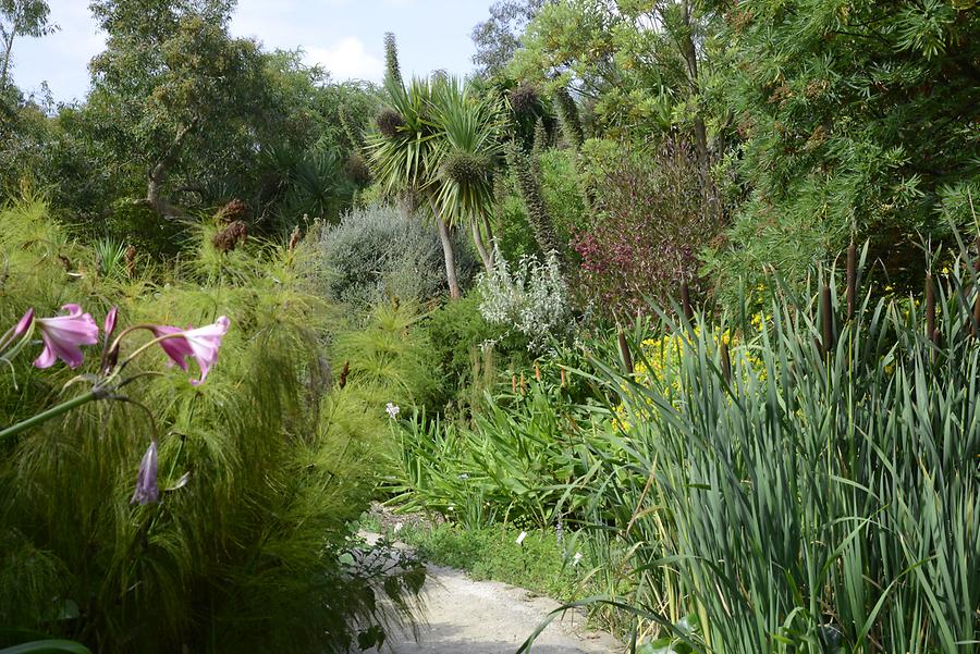 Garden Roscoff