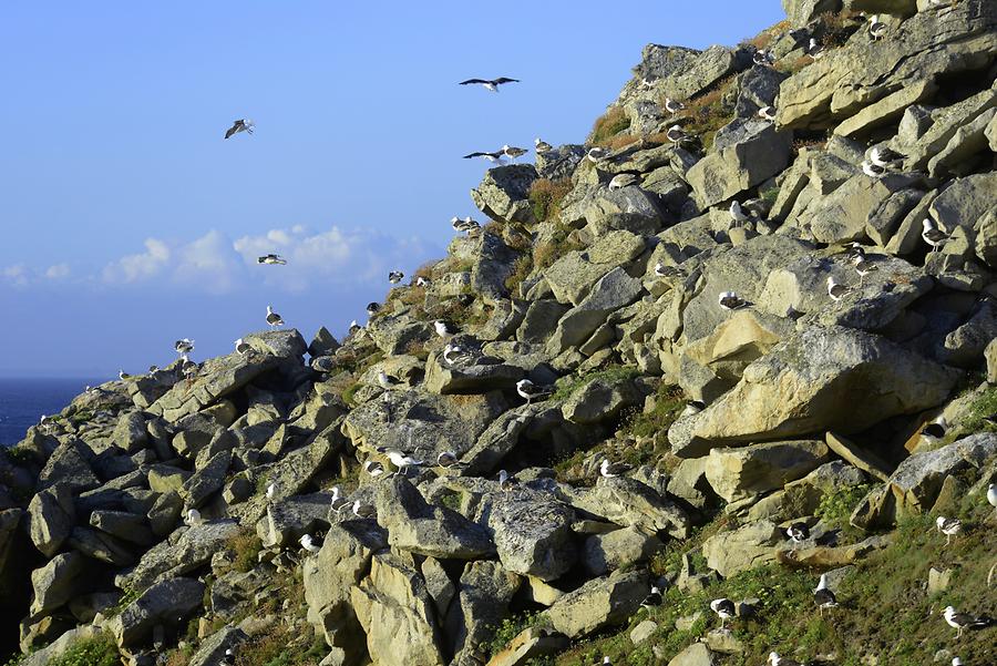 Pointe du Raz