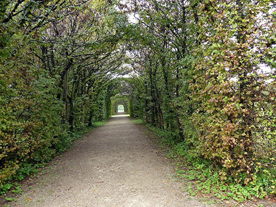 Castle Seehof - Tree-lined road into the distance