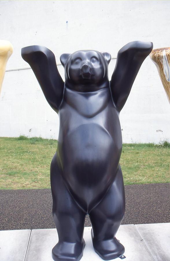 Bear