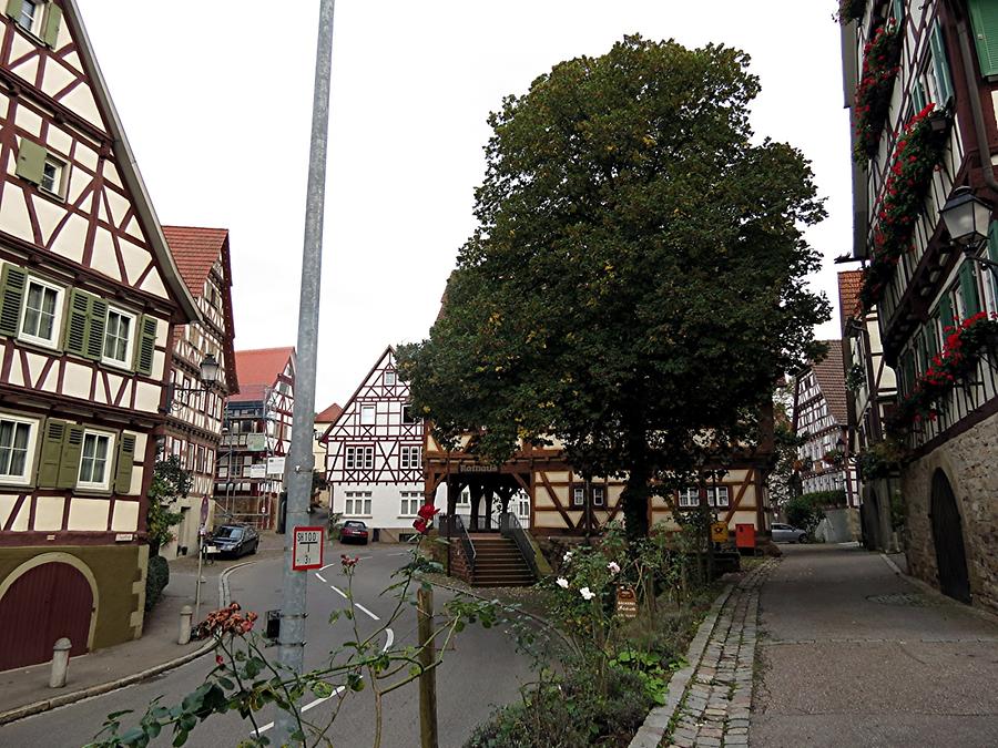 Strümpfelbach - Half-Timbered Houses