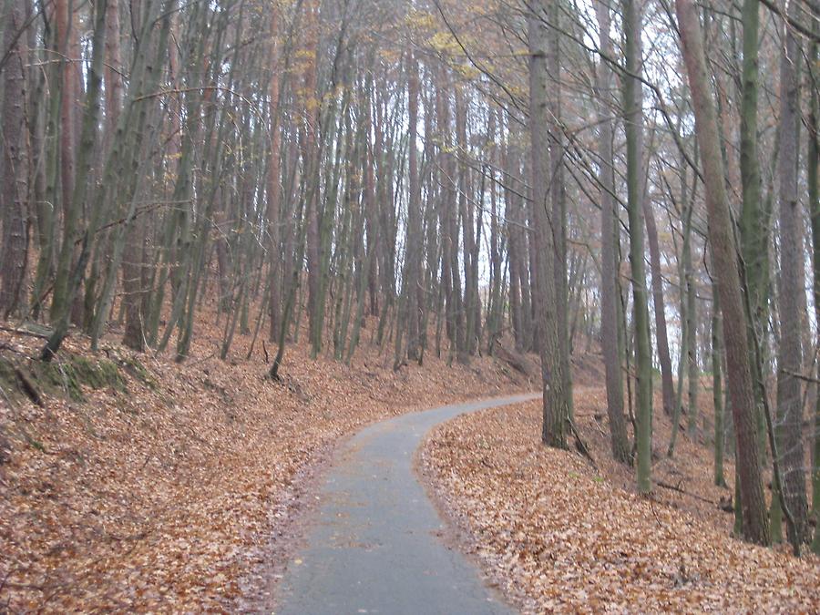 Höchst im Odenwald - Kloster Höchst - Meditationsweg