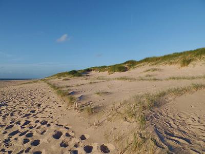 Sylt