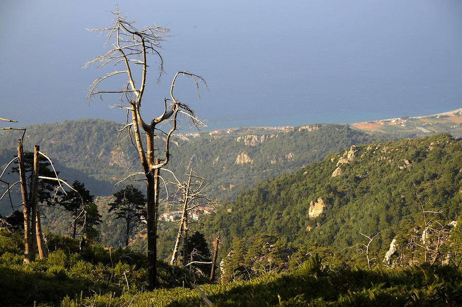 Ascent to Profitis Ilias