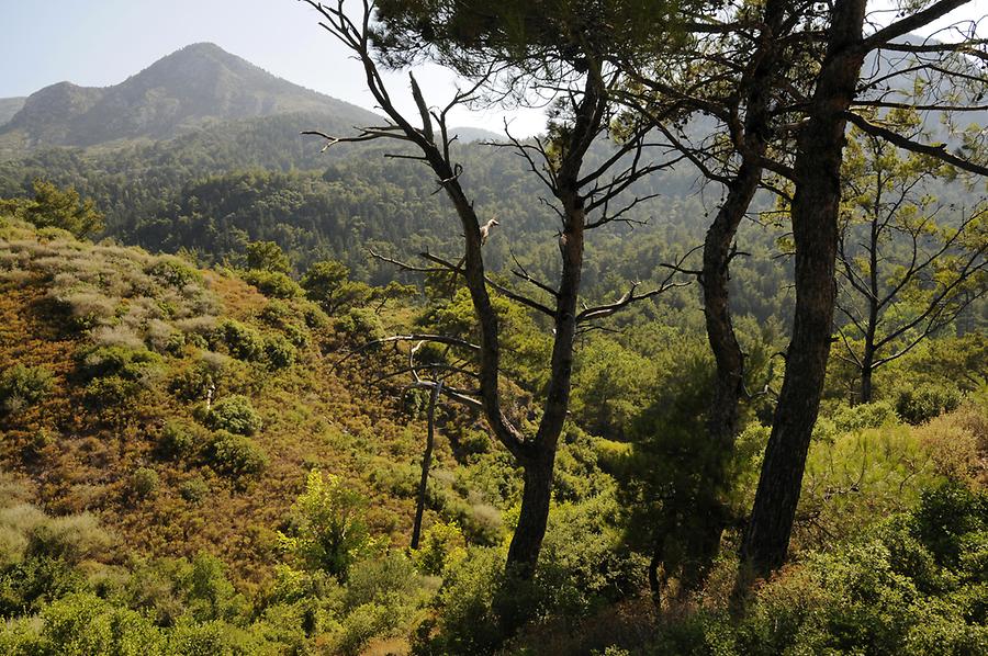 Landscape near Leka