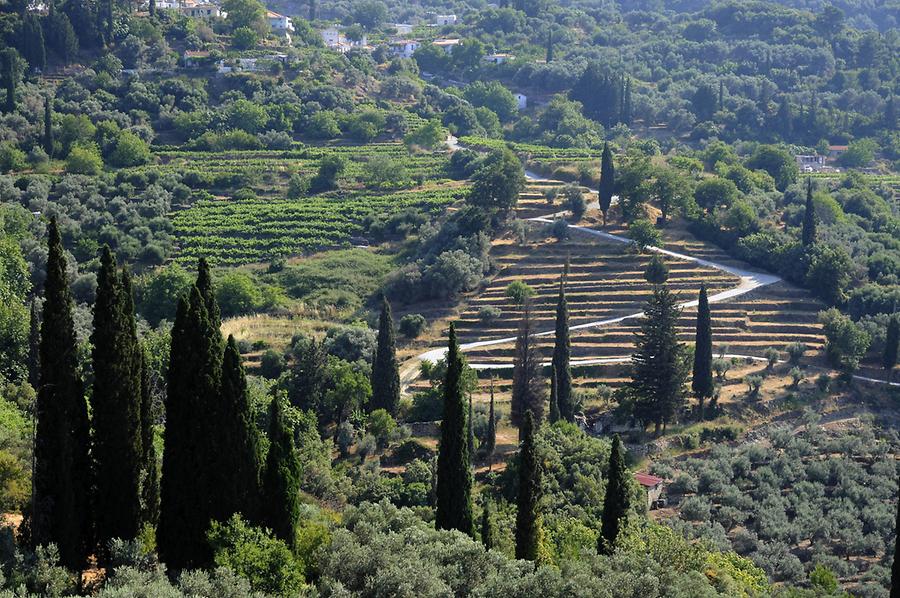 Landscape near Vourliotes