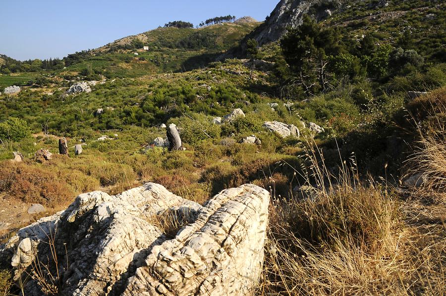 Landscape near Vourliotes