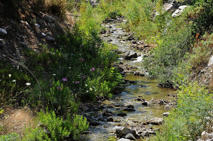 Valley of the nightingales