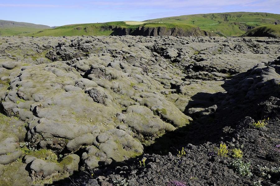 Lava Field near Kalfafell