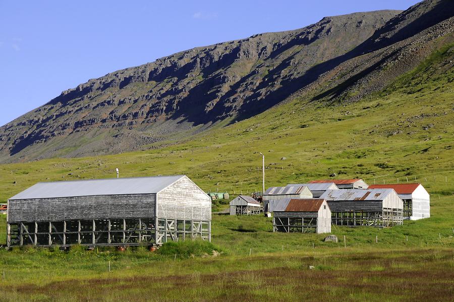 Dry House