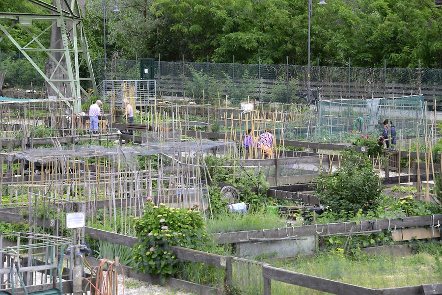 Bolzano - Allotment Gardens