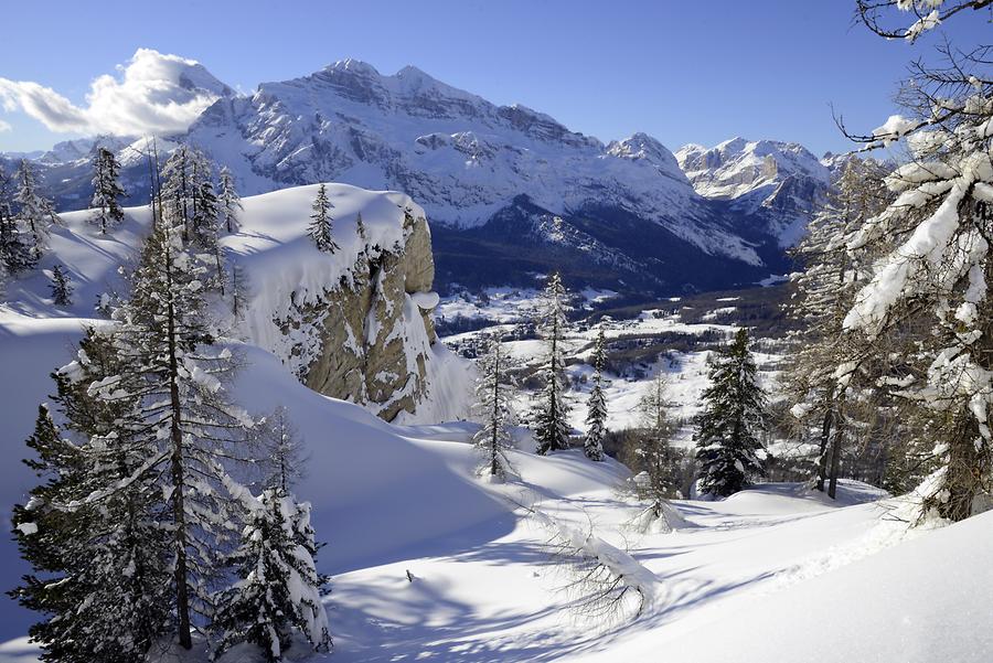 View of Cortina