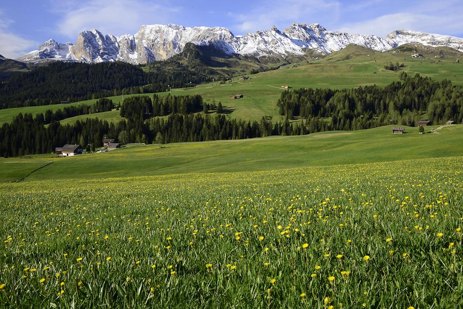 Seiser Alm - Rosengarten Group