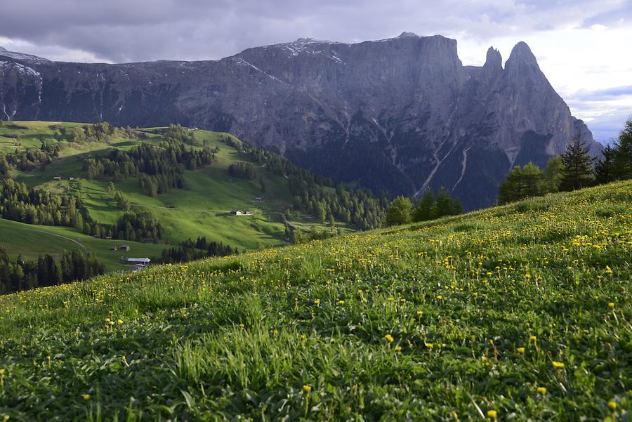 Seiser Alm - Schlern