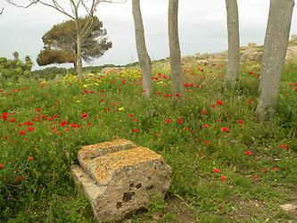 Sicily