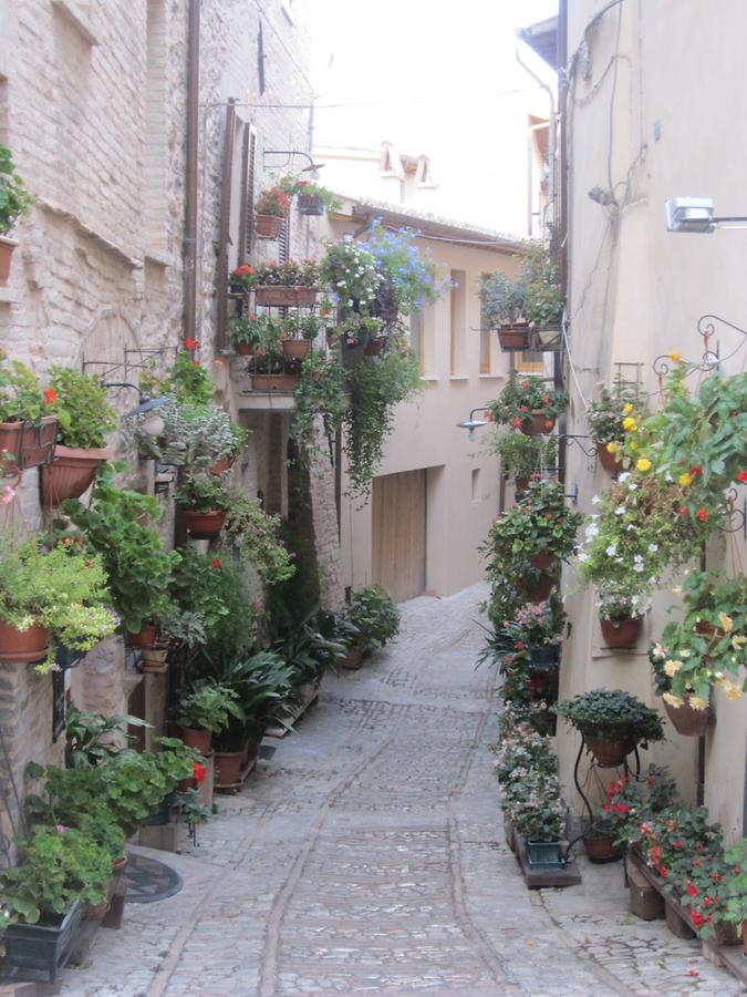 Spello