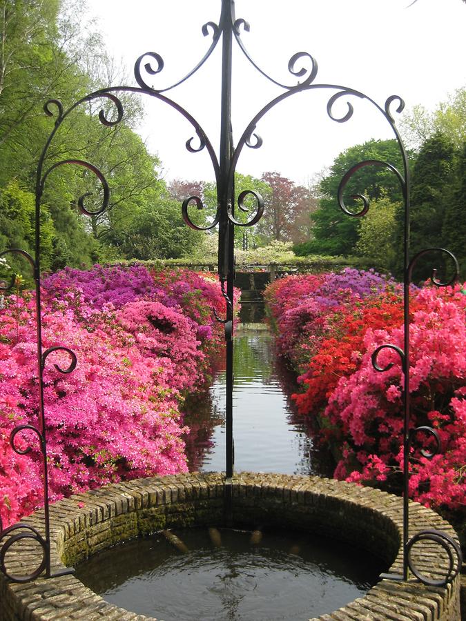 Keukenhof. water basin with flower beds