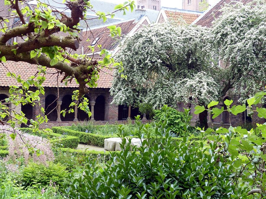 Utrecht - Mariakerk; Romanesque Cloister