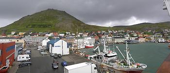 Honnigsvåg