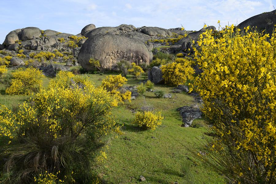 Granite Landscape near Valencia de Alcántara