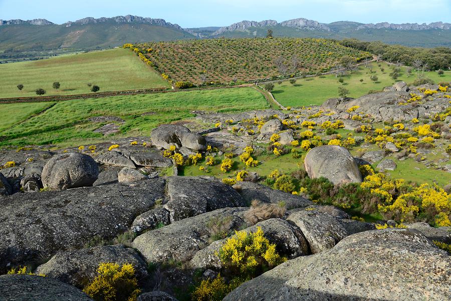 Granite Landscape near Valencia de Alcántara