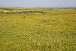 Landscape near Alcántara (1)