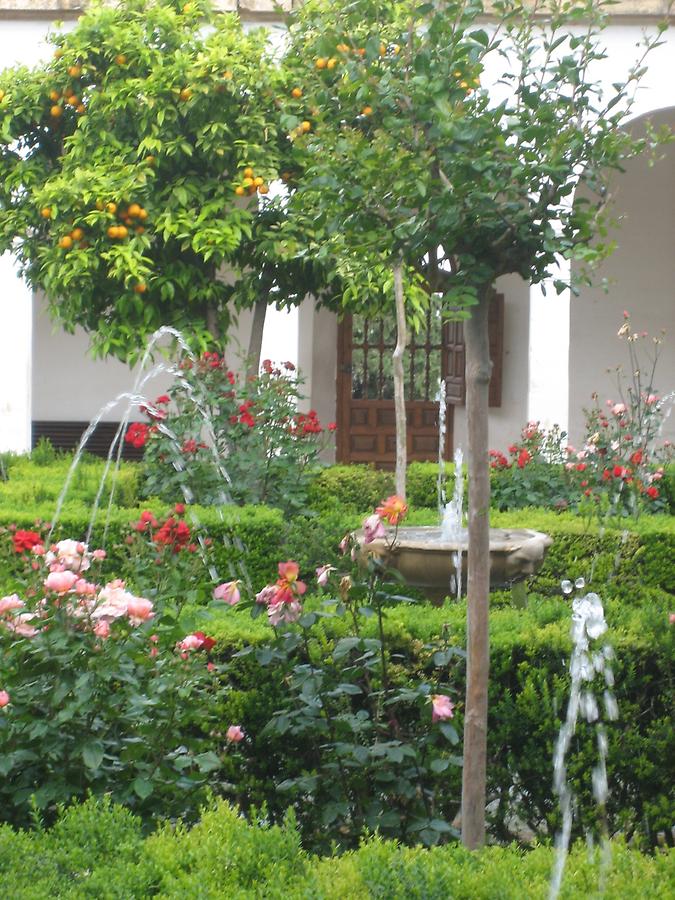 Granada - Palacio de Generalife - Jardin