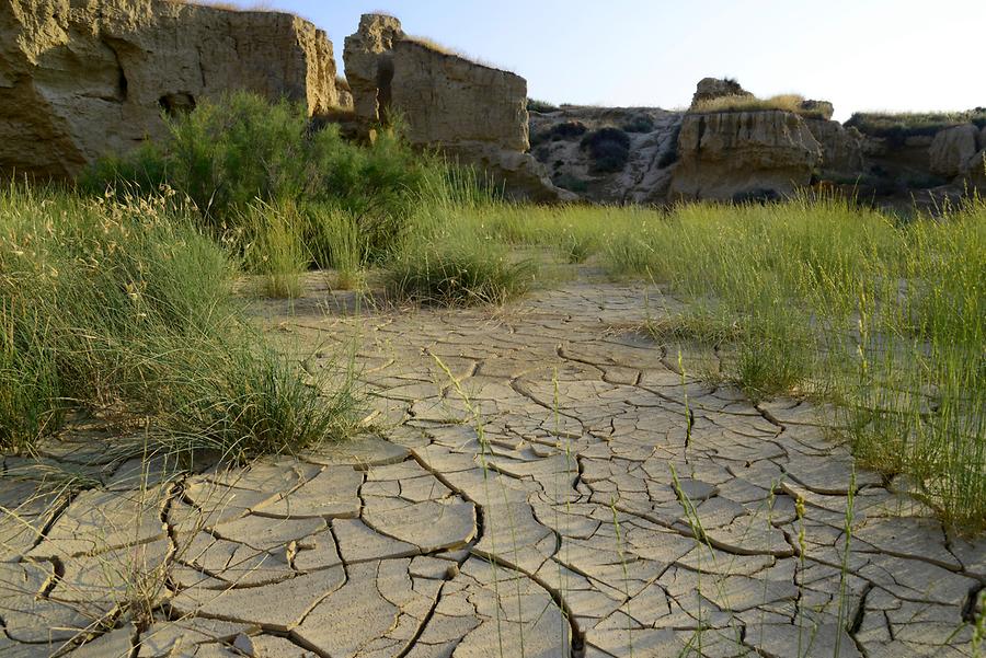 Bardenas Reales