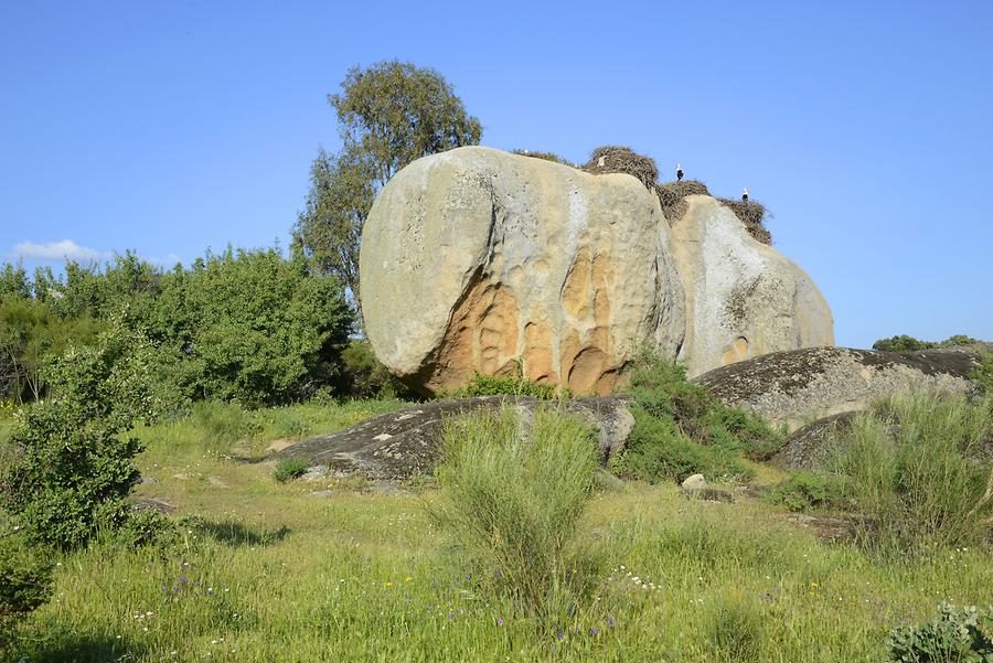 Los Barruecos