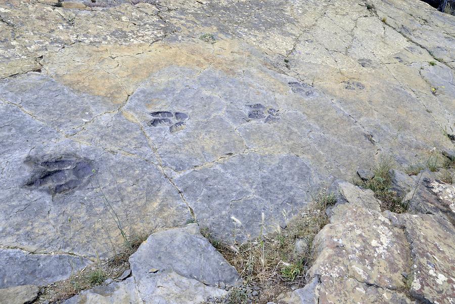 Saurian Tracks Valdecevillo