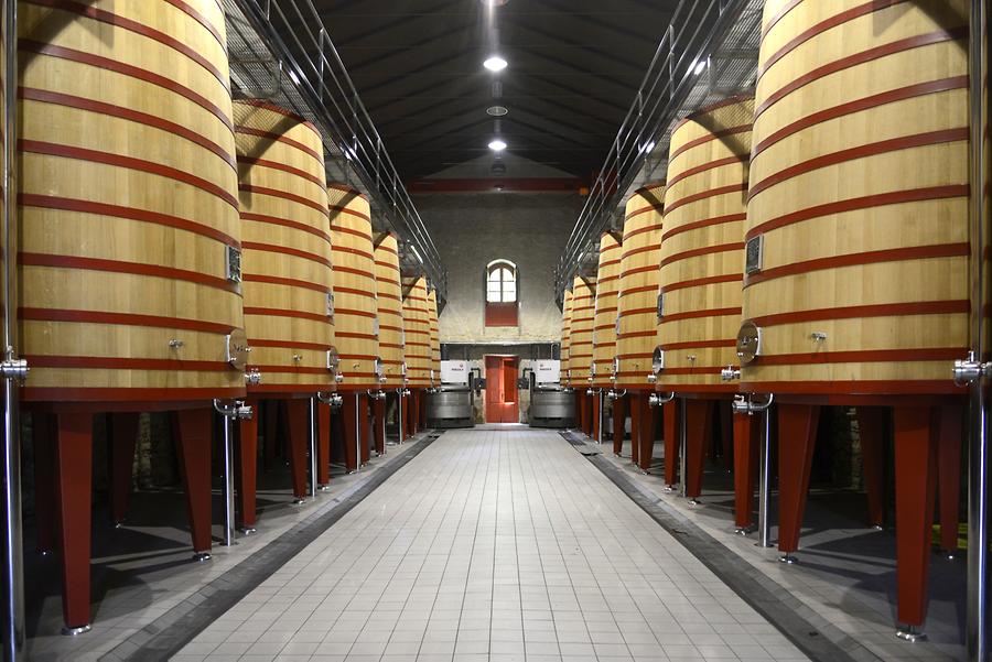 Marques de Riscal - Wine Cellar
