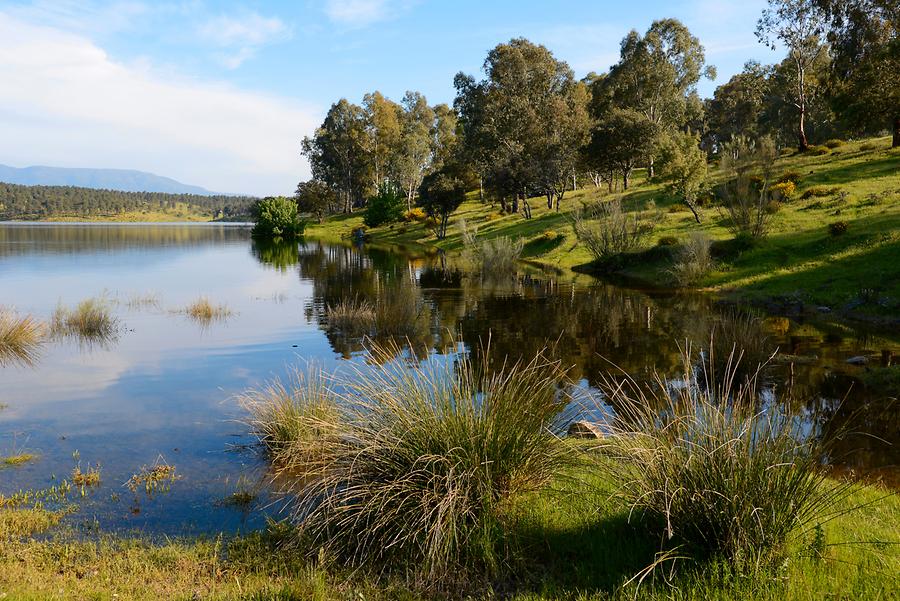 Artificial Lake near Granadilla