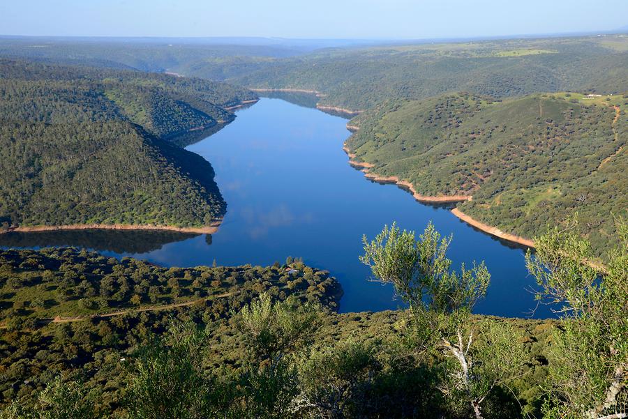 Monfragüe National Park - Tagus