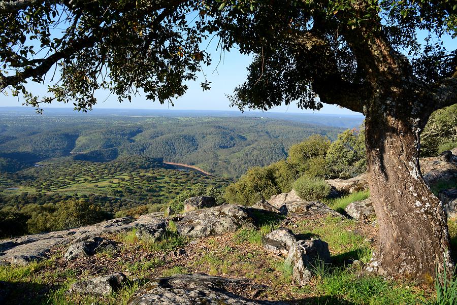 Monfragüe National Park