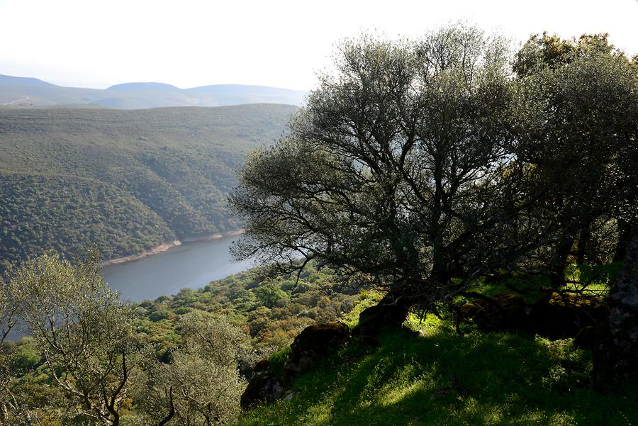 Monfragüe National Park