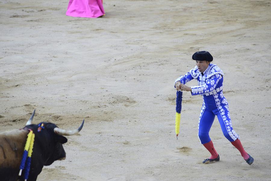 Banderillas Bullfight
