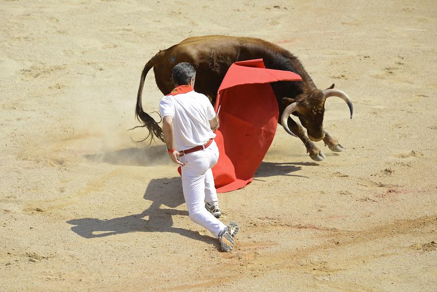 Matador Bullfight