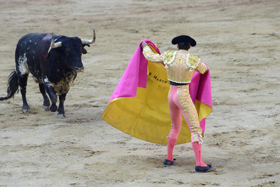 Matador Bullfight