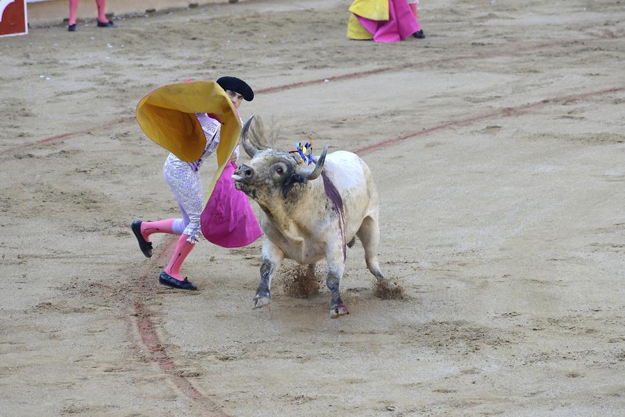 Matador Bullfight