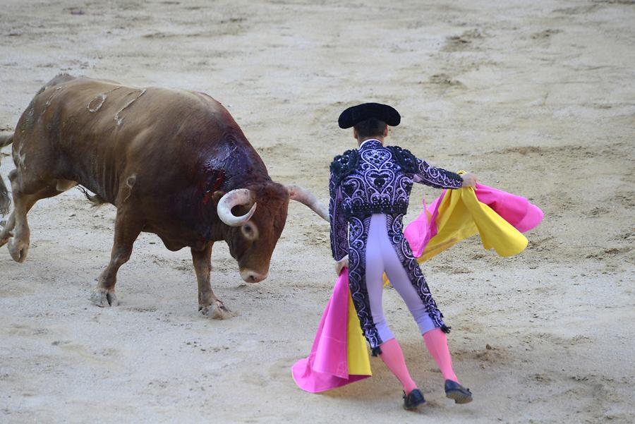 Matador Bullfight