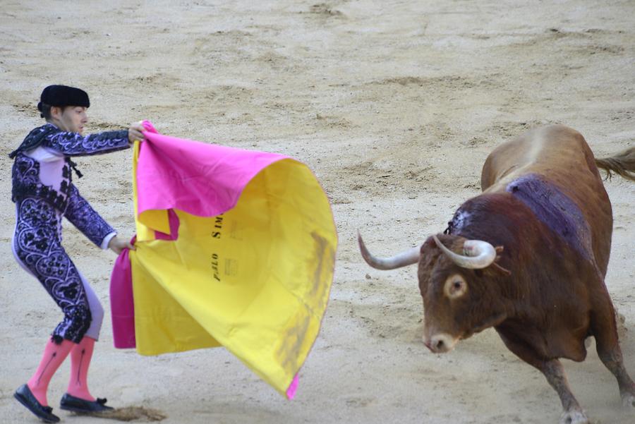 Matador Bullfight