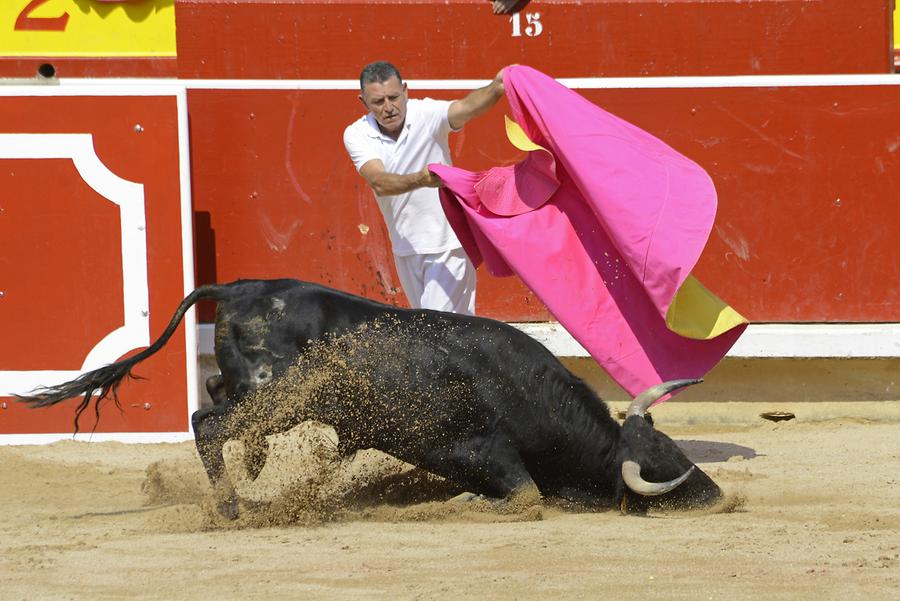 Matador Bullfight