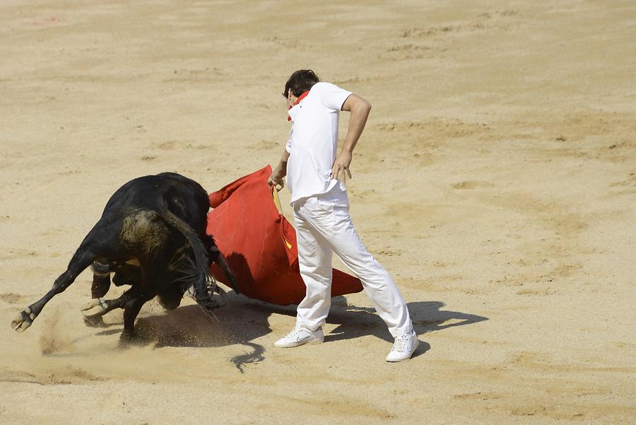 Matador Bullfight