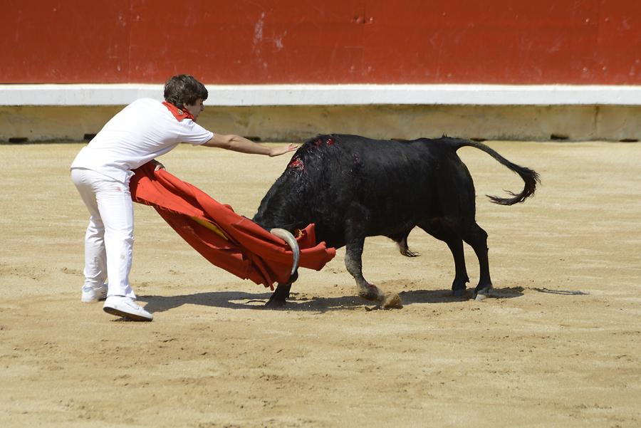 Matador Bullfight