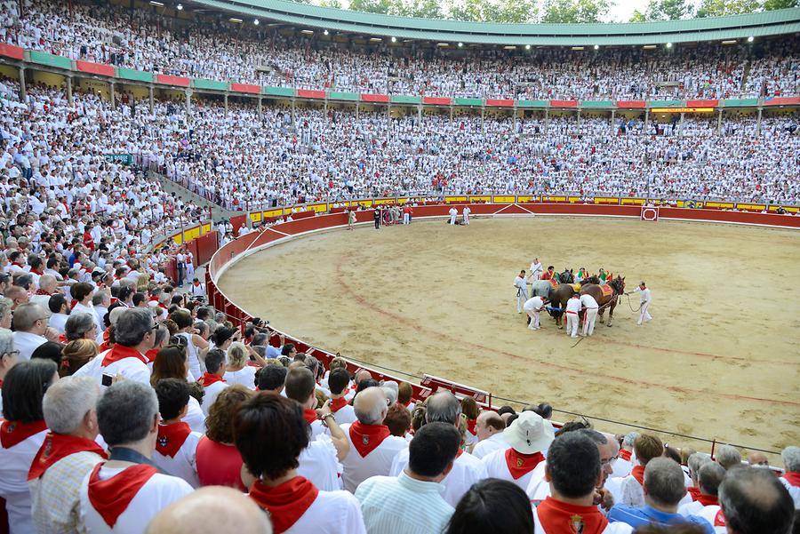 Spectator Bullfight